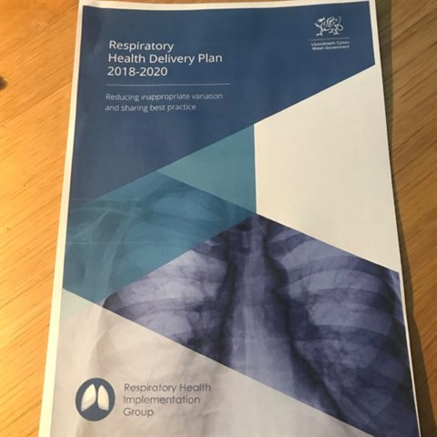 Respiratory Health Delivery Plan for Wales