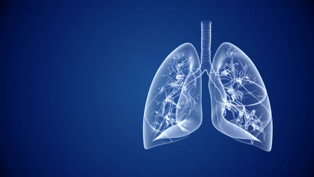 Asthma and Lung UK – Opportunity to apply for a Respiratory Champion grant from A+LUK